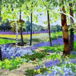 Bluebells and Beechwoods workshop 11th April Amersham BUCKS