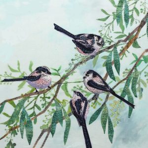 Long Tailed Tits on Willow