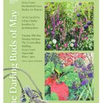 The Darling Buds of May exhibition, Greys Court National Trust