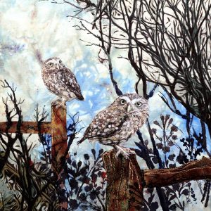 Little Owls