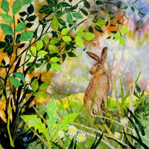 Summer hare