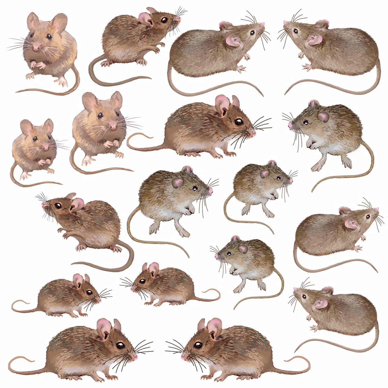 Mice fabric panel